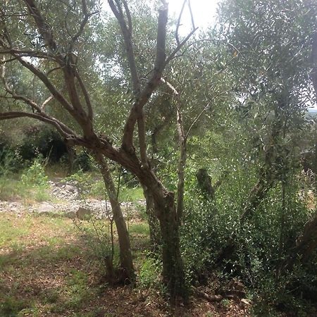 Lili Apartments, Sv Dunata 18 Kornic Bagian luar foto