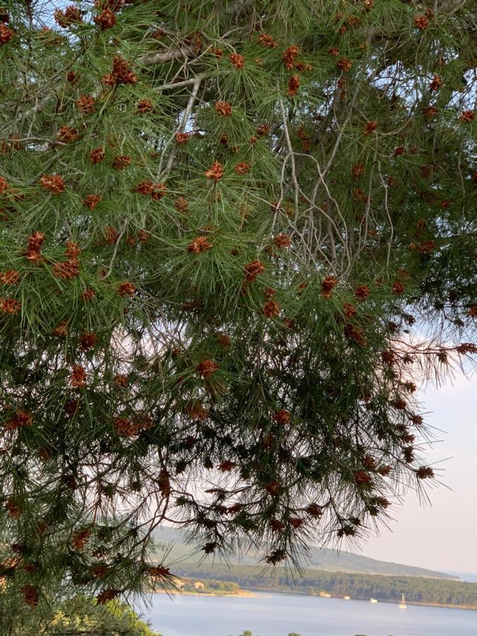 Lili Apartments, Sv Dunata 18 Kornic Bagian luar foto