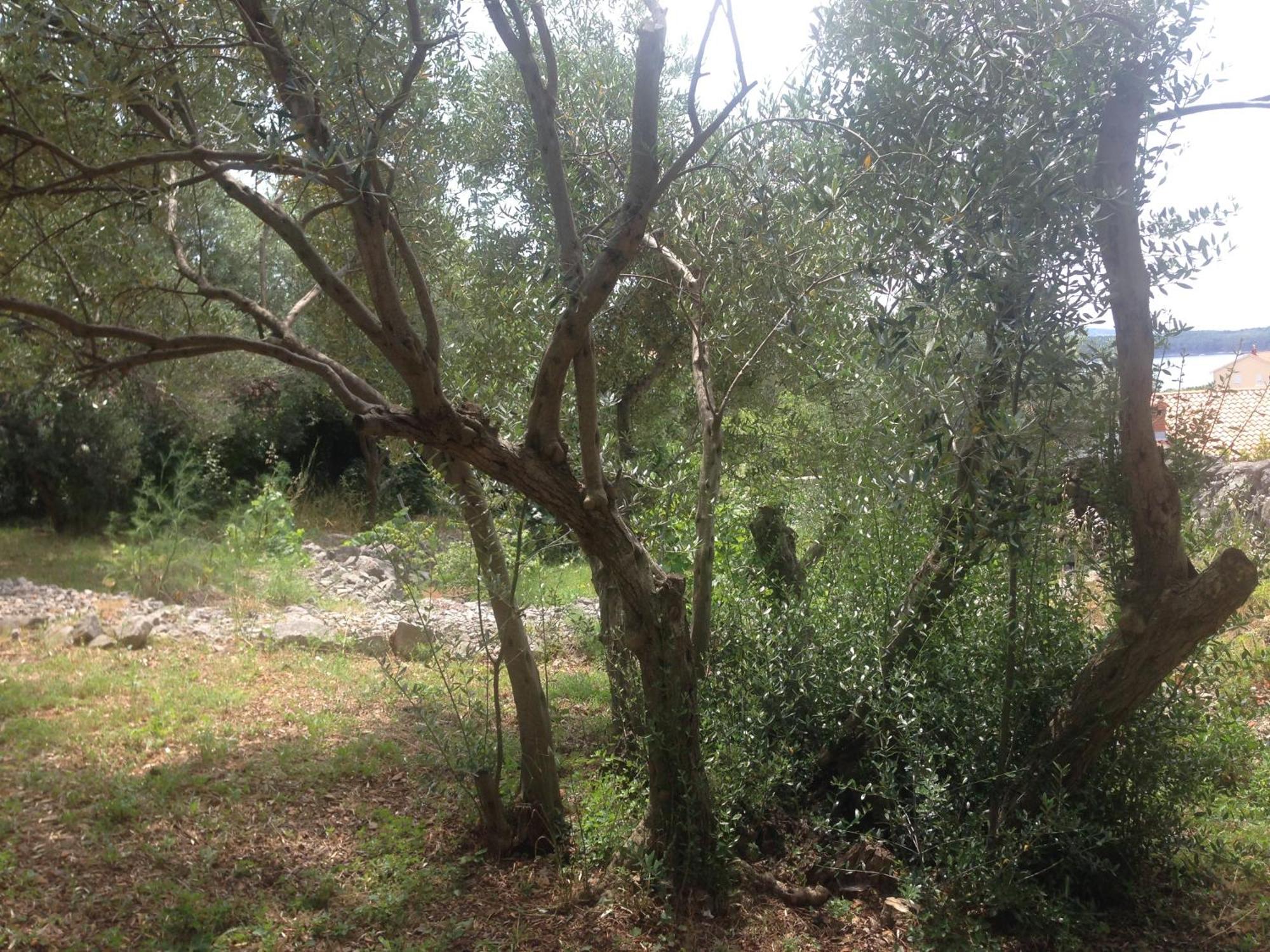 Lili Apartments, Sv Dunata 18 Kornic Bagian luar foto